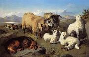 unknow artist Sheep 191 oil painting on canvas